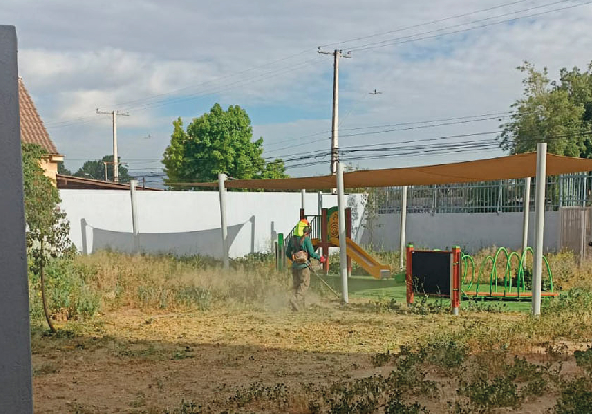 Tala y poda_DESMALEZADO DE TERRENOS-02