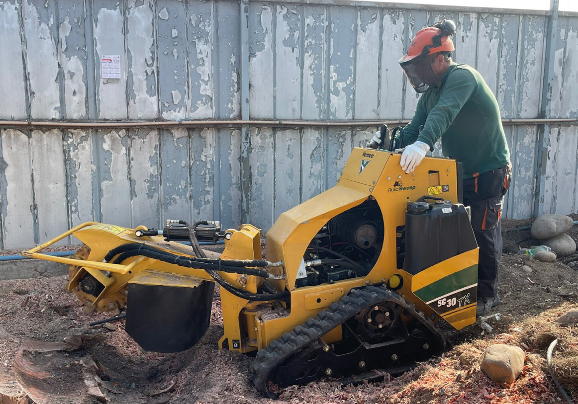 images_Mesa de trabajo 1 copia 2