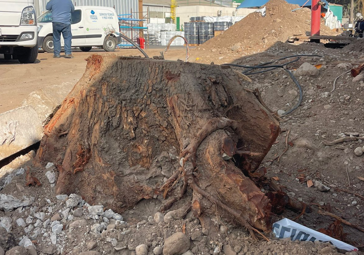 images_Mesa de trabajo 1 copia